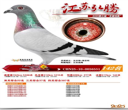 江苏弘腾决赛142名