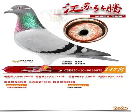 江苏弘腾决赛147名