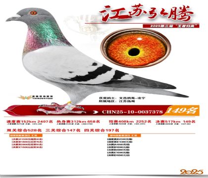 江苏弘腾决赛149名