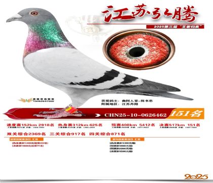 江苏弘腾决赛151名