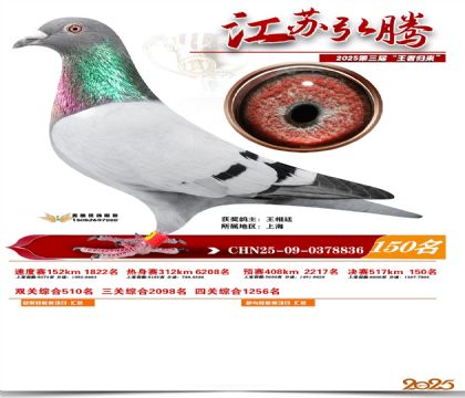 江苏弘腾决赛150名