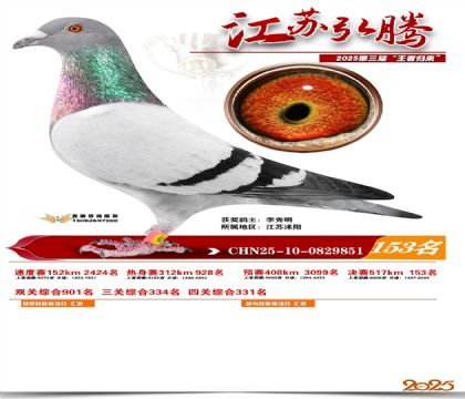 江苏弘腾决赛153名