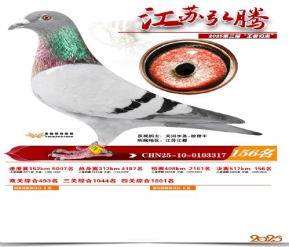 江苏弘腾决赛156名