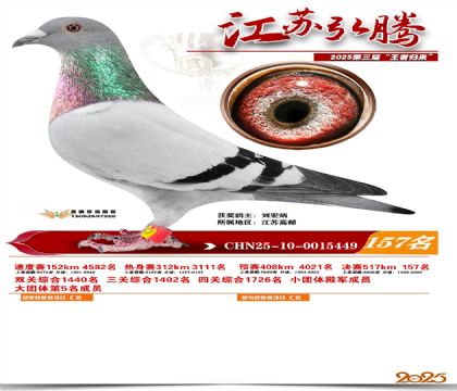 江苏弘腾决赛157名