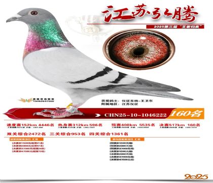 江苏弘腾决赛160名