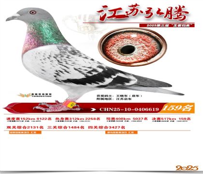 江苏弘腾决赛159名