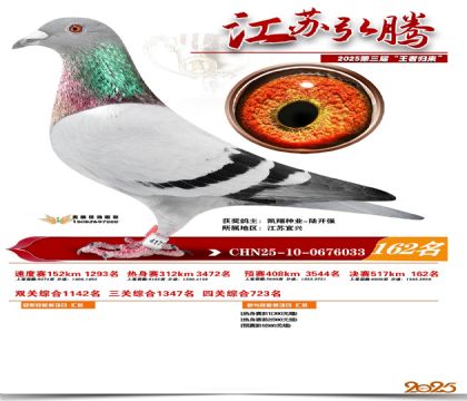 江苏弘腾决赛162名