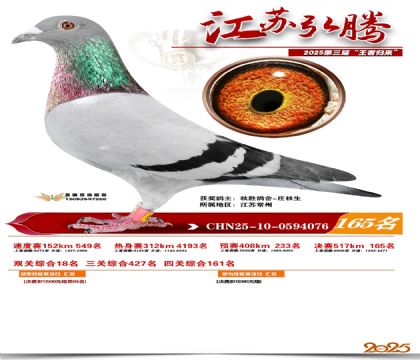 江苏弘腾决赛165名