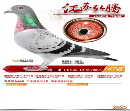 江苏弘腾决赛167名