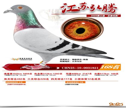 江苏弘腾决赛168名