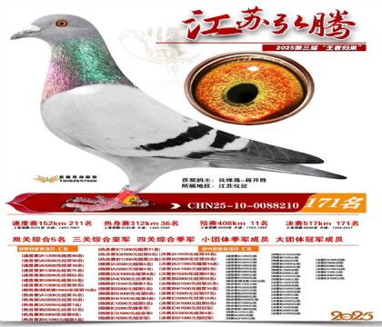 江苏弘腾决赛171名