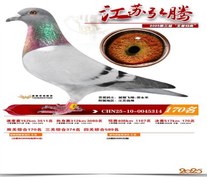 江苏弘腾决赛170名