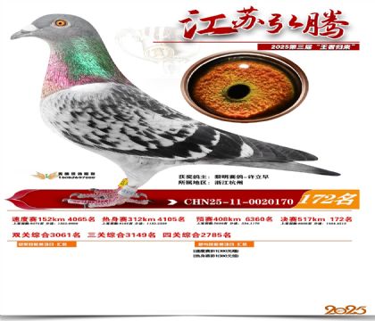 江苏弘腾决赛172名