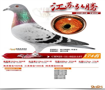 江苏弘腾决赛174名