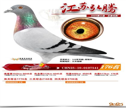 江苏弘腾决赛176名