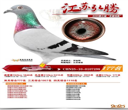 江苏弘腾决赛177名