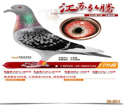 江苏弘腾决赛179名