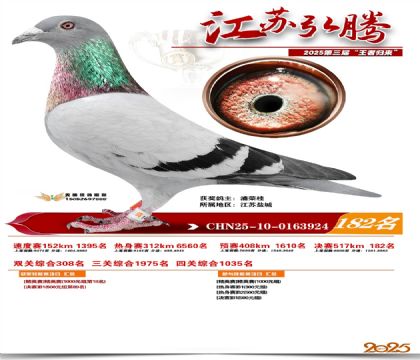 江苏弘腾决赛182名