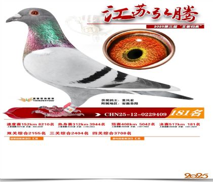 江苏弘腾决赛181名