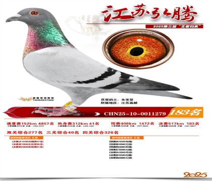 江苏弘腾决赛183名