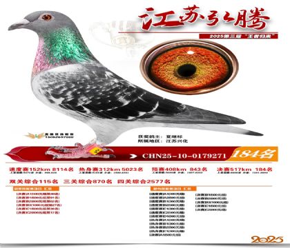 江苏弘腾决赛184名