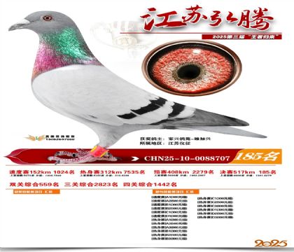 江苏弘腾决赛185名