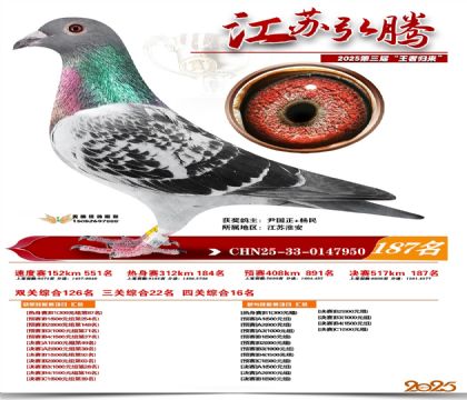 江苏弘腾决赛187名