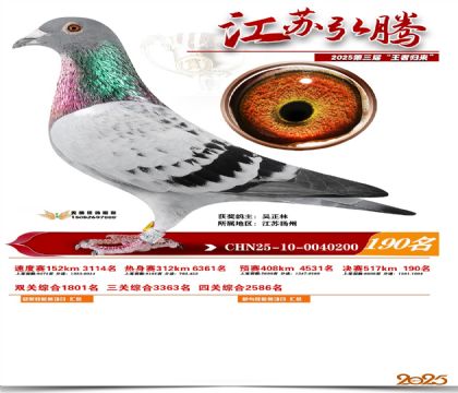 江苏弘腾决赛190名