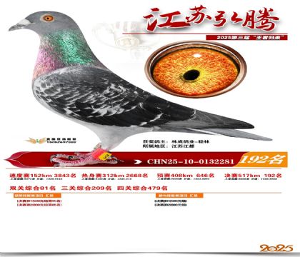 江苏弘腾决赛192名