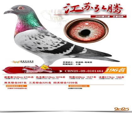 江苏弘腾决赛196名