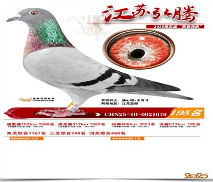 江苏弘腾决赛195名