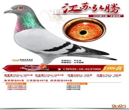 江苏弘腾决赛198名