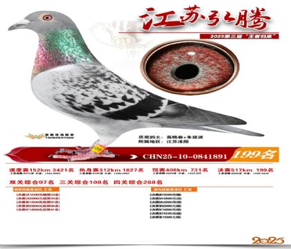 江苏弘腾决赛199名