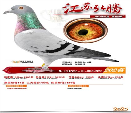 ���պ��ھ���202��