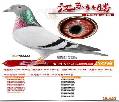 ���պ��ھ���203��