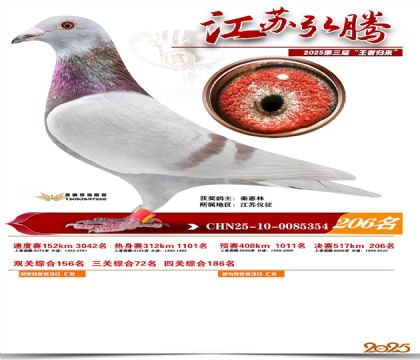 ���պ��ھ���206��