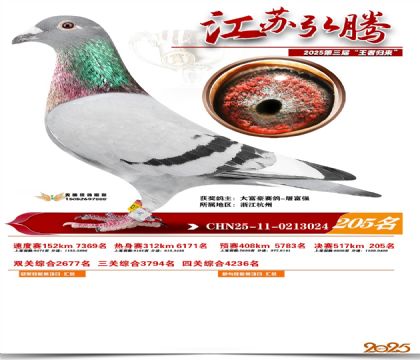 ���պ��ھ���205��