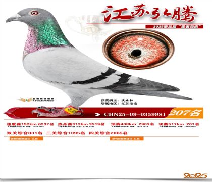 ���պ��ھ���207��