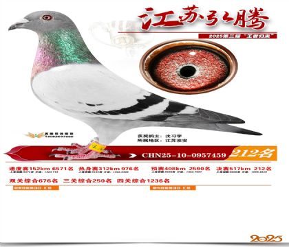 ���պ��ھ���212��