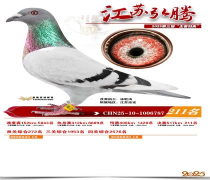 ���պ��ھ���211��