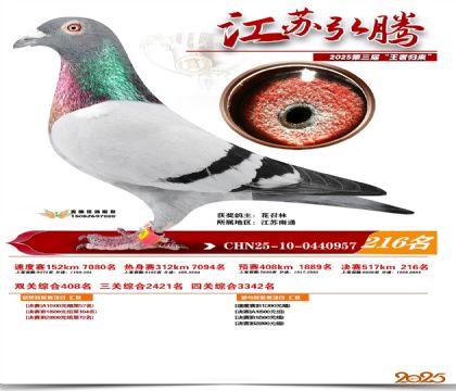 ���պ��ھ���216��