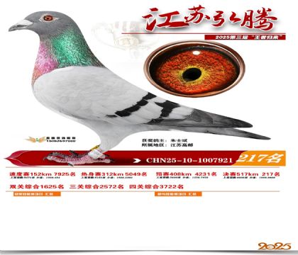 ���պ��ھ���217��