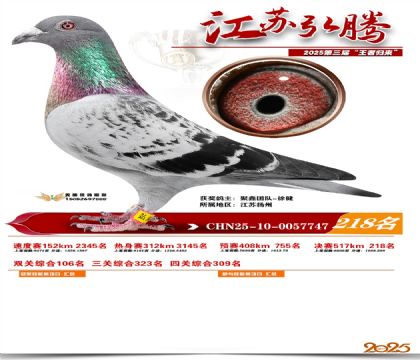 ���պ��ھ���218��