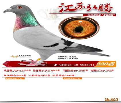 ���պ��ھ���220��