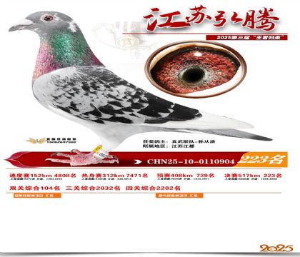 ���պ��ھ���223��