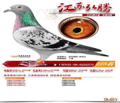 ���պ��ھ���225��