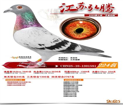 ���պ��ھ���224��