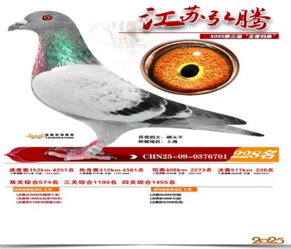 ���պ��ھ���228��