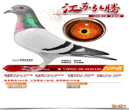 ���պ��ھ���229��