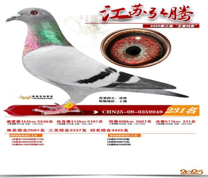 ���պ��ھ���231��